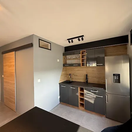 Apartment Am Zentrum Der Murg! Gaggenau